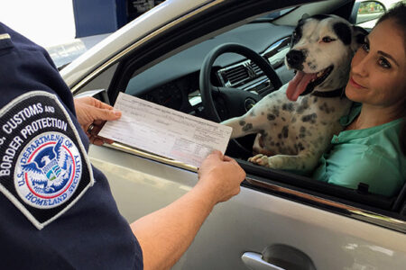 parking-certificate